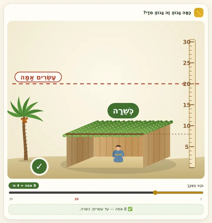 המחשה מהסוגיה